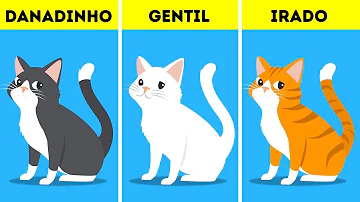 O que define a cor do cachorro?