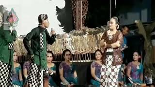 Wa. Amu lebokno wa aku#Percil cs