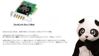 薄型PCに最適！DeckLink Duo 2 Mini の注目ポイントと活用法｜