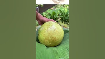 Unboking Buah Langka, Ada Yang Tahu Buah apa ini ?? #maja