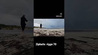 Winter Black Bream on Zipbaits Rigge 70 Lure in the rain