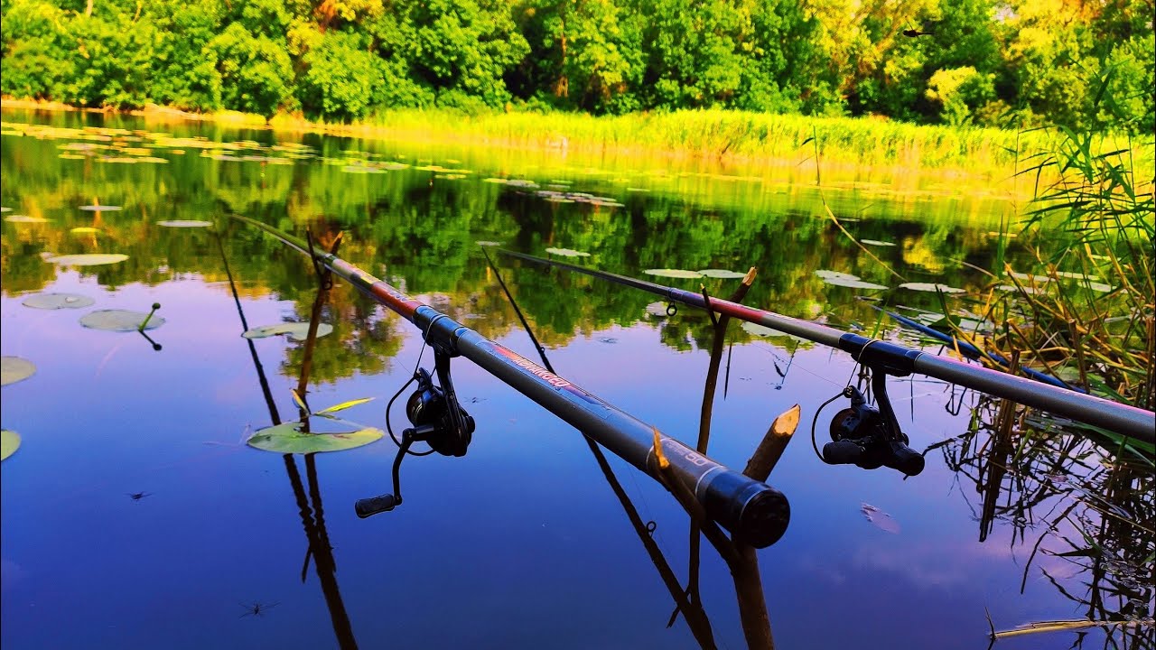 ТАКОГО Я НЕ ОЧІКУВАВ, ОЦЕ так ВЕЛЕТНІ !!!  Рибалка на поплавок! Ловля карася.