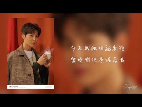 ｜中字｜EXO - Been Through