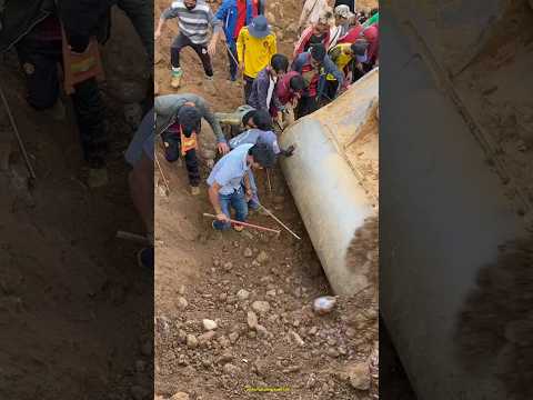 لماذا يفتشون في التراب