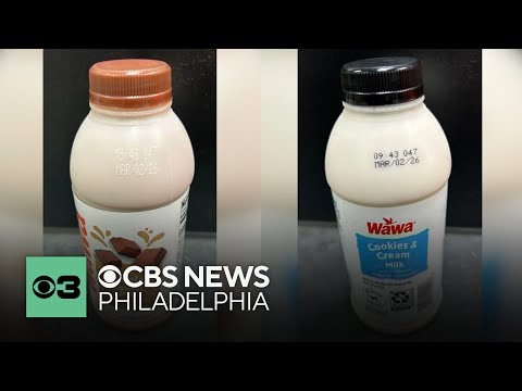 Wawa recalls multiple milk products over possible plastic contamination Digital Brief