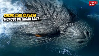 Viral Tertangkap Kamera Penampakan Ular Raksasa Muncul di Tengah Laut! Bikin Heboh dan Merinding...