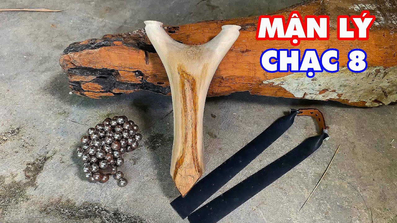 Cây Ná Cao Su Này Đem Đi Săn Có Được Không- Cách Làm Một Cây Ná Chạc 8 Cây Mận Lý Đi Săn