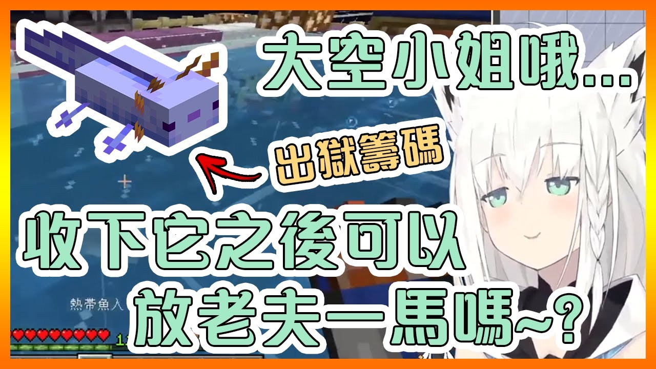 狡猾的白狐想要用藍色蠑螈來賄賂大空警察【Hololive中文】