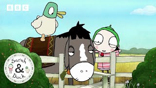 Let's Meet Animal Friends | Sarah and Duck Official