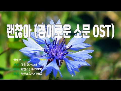 [은성 반주기] 괜찮아(경이로운소문OST) - 다운(Dvwn)