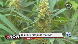INTERVIEW: Is medical marijuana effective?