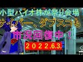 第10回 ガリクソン通信 2022/06/03
