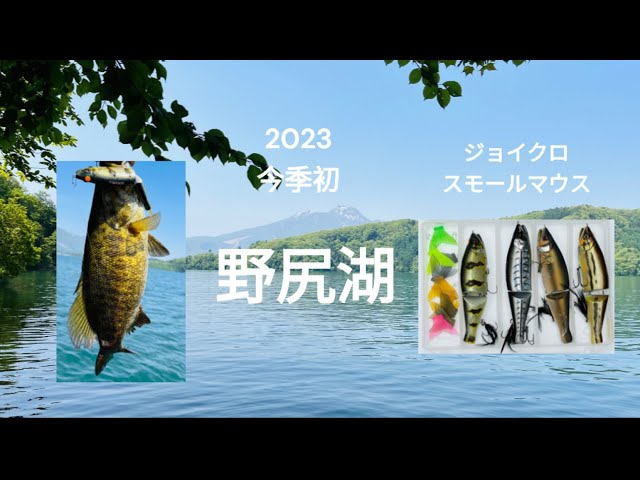 野尻湖 2023年5月 バス釣り ガンクラフト ジョイクロ178 スモール