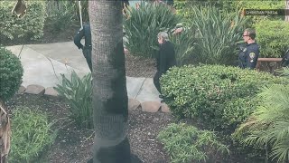 76-year-old woman arrested in deadly hit-and-run