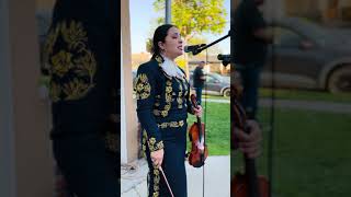 Sabor a mi - Mariachi Corazón Latino