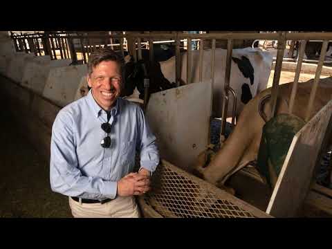 Plan microbiano para vacas climáticamente inteligentes