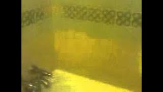 MOV00222.3GP