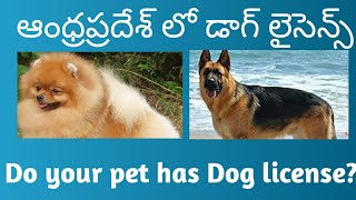 How to Get Dog license In Telugu || canine clinic