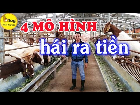 Video 4 câu chuyện có thật làm giàu từ chăn nuôi - youtube