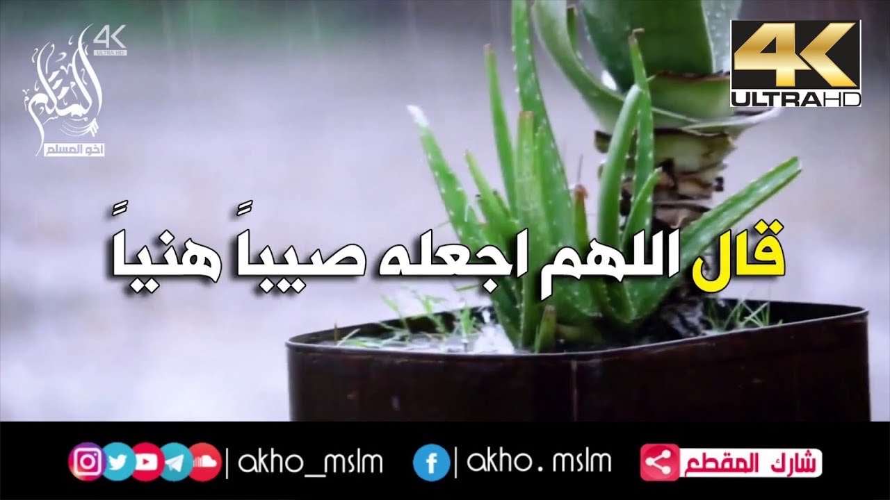 ما يقوله المسلم عند هبوب الريح ونزول المطر - الشيخ محمد بن غيث غيث