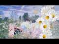 Футаж🌼 Ромашки для Наташки 🌼  Background Summer Daisies