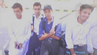 NED mechanical pappus batch 2005-2006