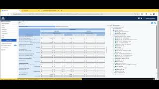 Canonical Accounting Working Papers (Draft 1)