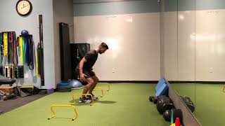 Lateral hurdle jump - pause