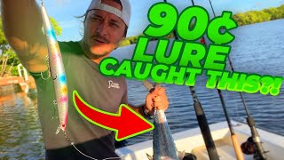 Trolling a 90 cent fishing lure [catch and cook} screenshot 3