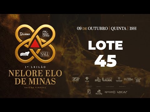 LOTE 45 SINO 2030