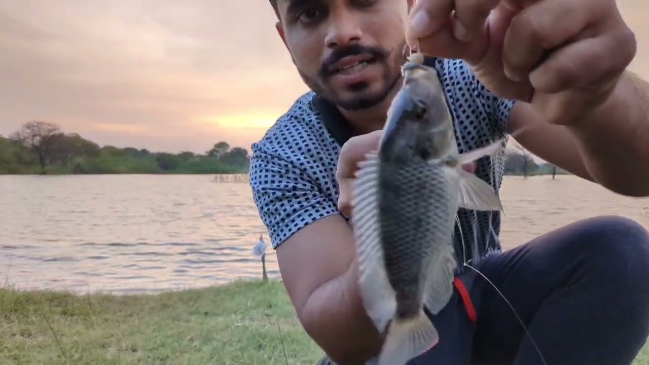 Pole Rod Fishing | Tilapia Fishing | Traditional Fishing Vlog | Village Fishing