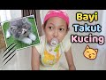 Bayinya Takut Sama Anak Kucing 😄 Parodi Aqilla's Diary