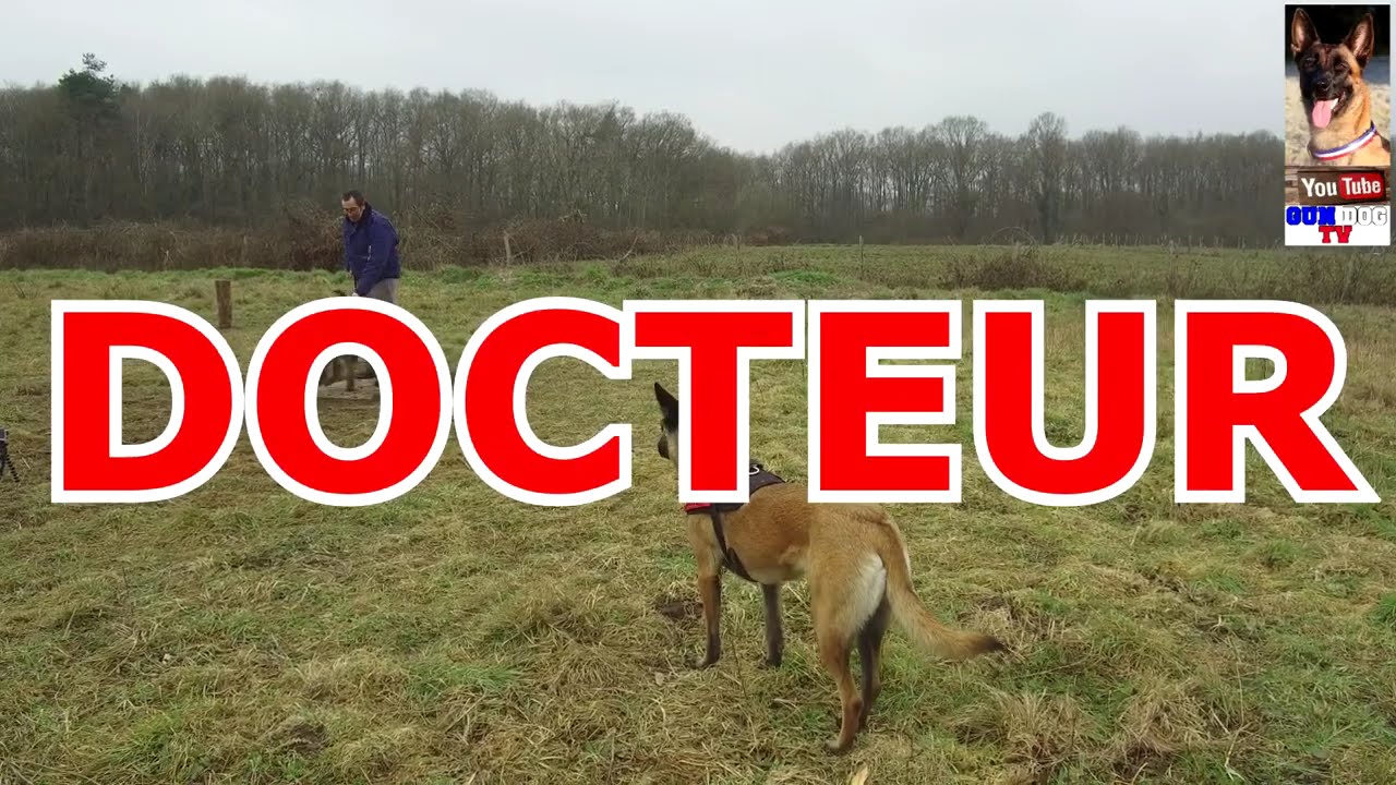 Berger Picard - Ré-Education aux poils tactiles