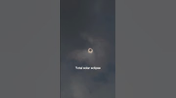 Total solar eclipse chaos #solareclipse #totalsolareclipse #eclipse #eclipse2024 #totaleclipse