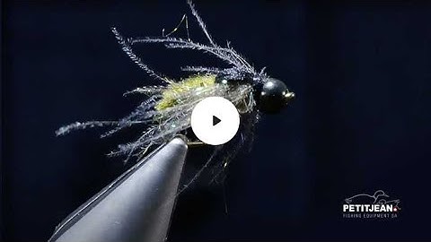 MP 2404 by Marc Petitjean