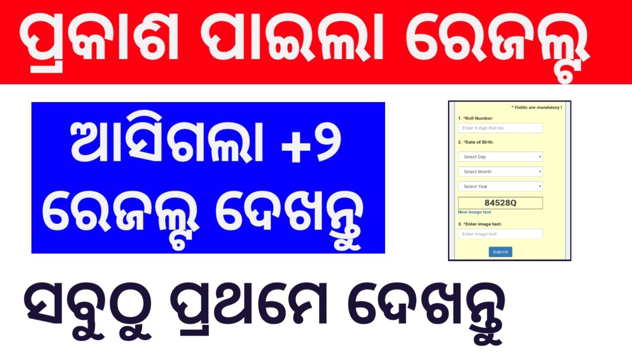 +2  Results Odisha Now Published Check Online Chse results  12th results odisha