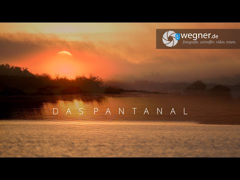 Das Pantanal - Ergebnis Film des Tutorials Videoschnitt für Fotografen mit Davinci Resolve