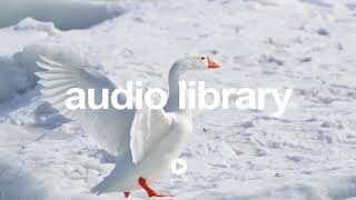 Before Dawn by Audionautix | No Copyright Music YouTube - Free Audio Library