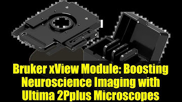 Bruker xView Module: Boosting Neuroscience Imaging with Ultima 2Pplus Microscopes