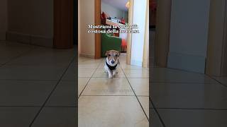 E Continua A Costare