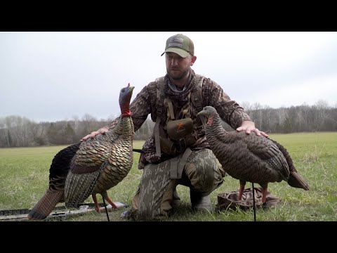 Turkey Decoy Review: