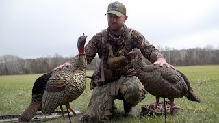 Turkey Decoy Review: Avian-X HDR Jake And Hen Combo