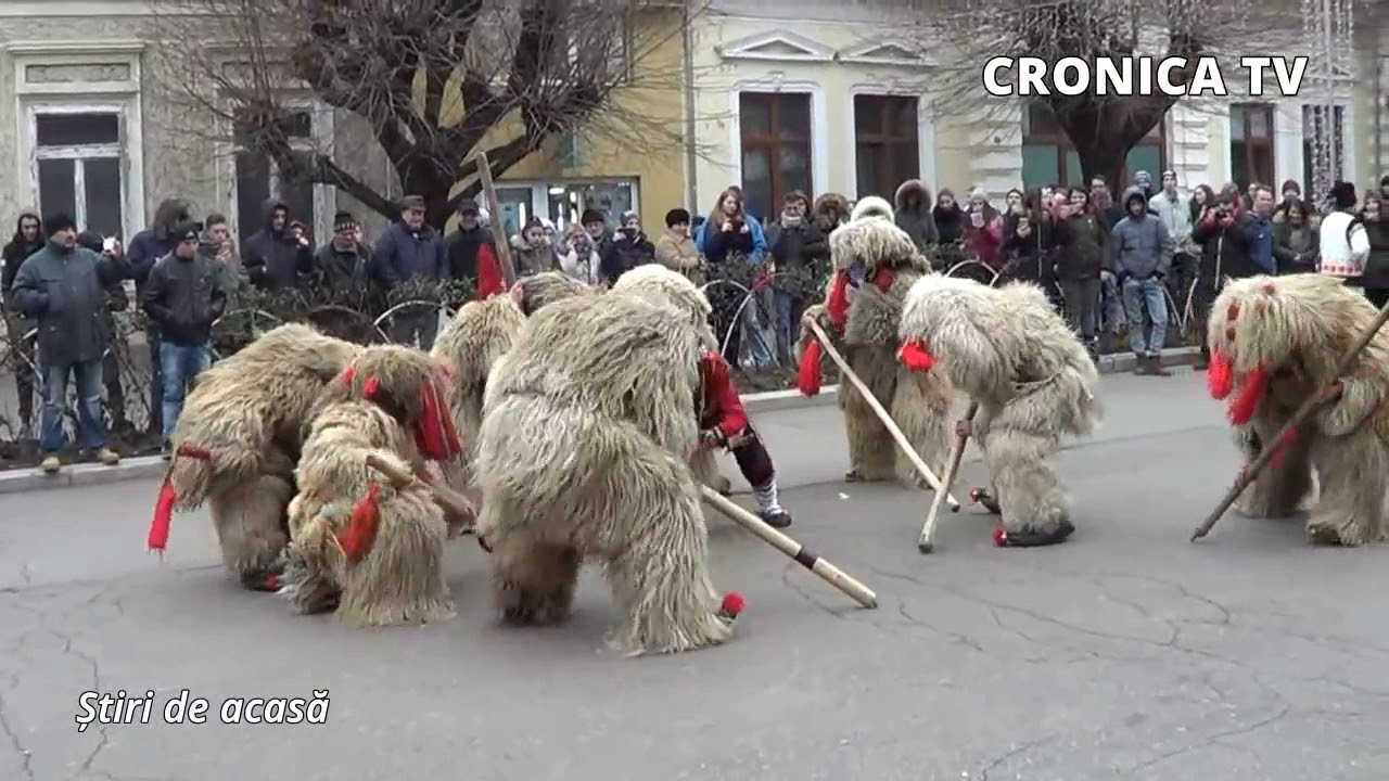 Ionuț Dascălu (Forasti) cu ursii din Boroaia! Liceul Agricol