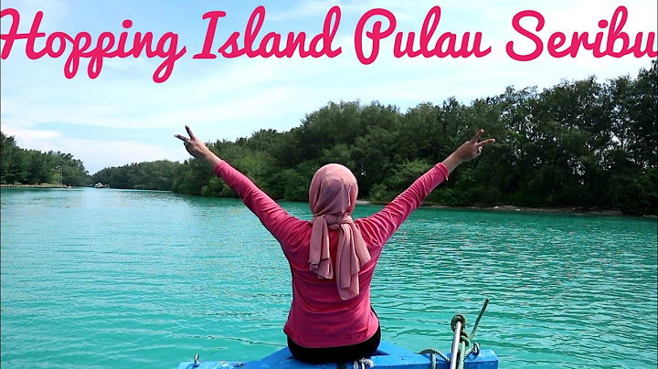 Kemunculan lumba-lumba di Pulau Jakarta???Wisata Pulau Pramuka yang keren banget, 3 jam dari Jakarta
