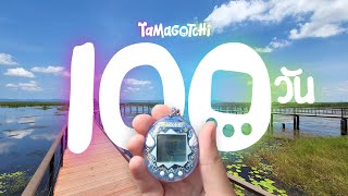 Download Lagu ผมเลี้ยงทามาก็อตจิ 100 วันชีวิตจริง และนี้คือเรื่องราวทั้งหมดครับ :) MP3