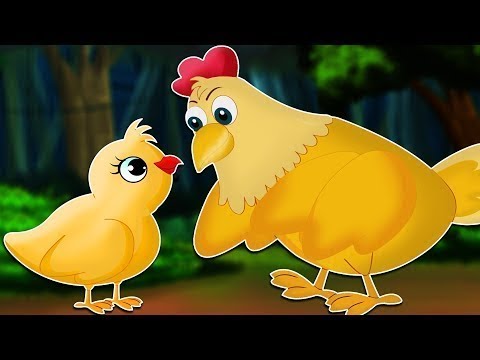 El cuento del