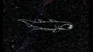 Carl Sagan  - Evolución