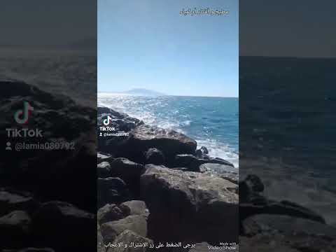 نسيم البحر يشفي العليل ينحي ديق الخاطر صيف بحر شاطئ بلادي