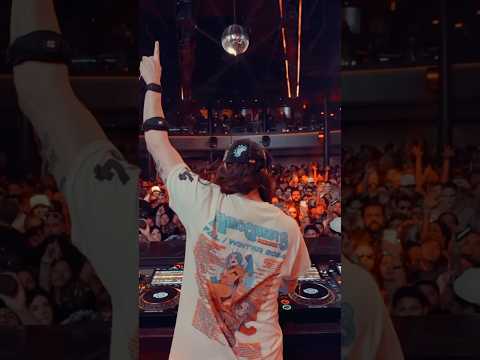 Steve Aoki Performing