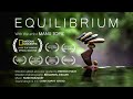 Equilibrium v2